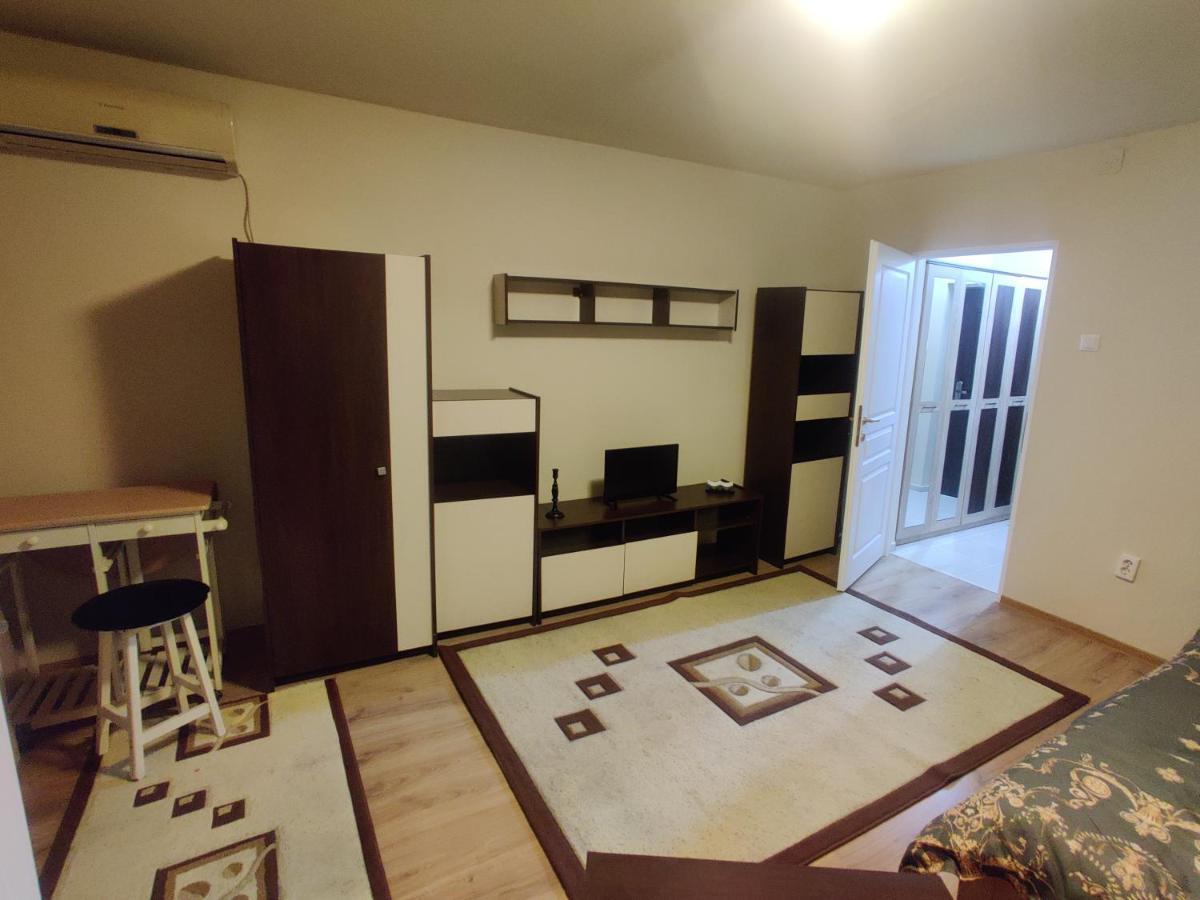 Eric'S Cozy Apartment Temešvár Exteriér fotografie